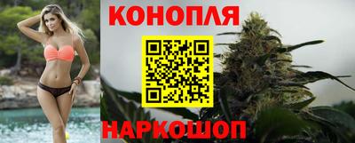 дмт Пушкино