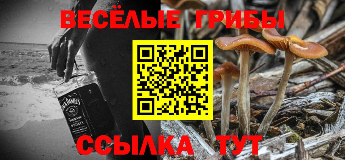 Псилоцибиновые грибы Psilocybe  Вход с VPN  наркотики  Старая Купавна 